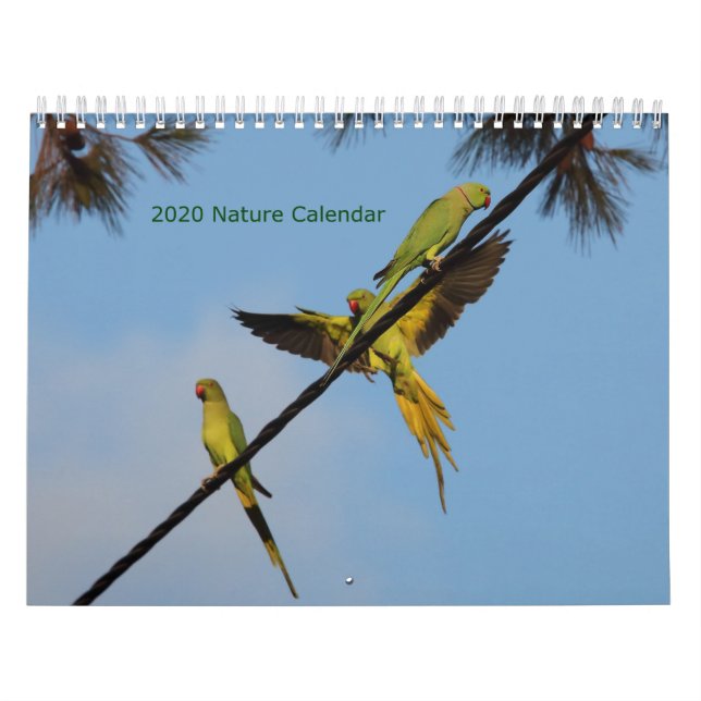 Calendrier des oiseaux et des fleurs 2020 (Protection)