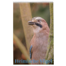 Calendrier des oiseaux indigènes