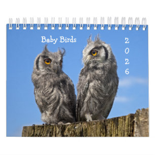 Calendrier des oiseaux pour bébés