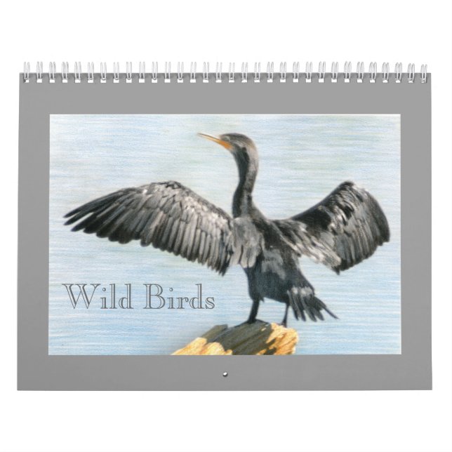 Calendrier des oiseaux sauvages du Colorado occide (Protection)