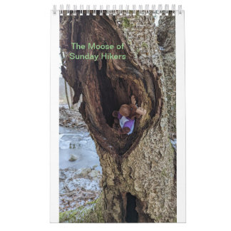 Calendrier des orignaux