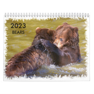 Calendrier des ours