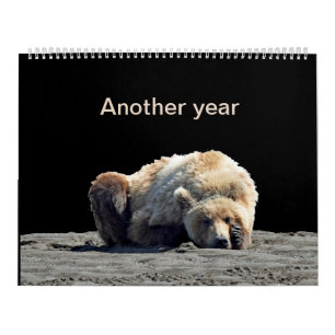Calendrier des oursons grizzlis