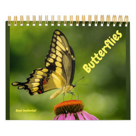 Calendrier des papillons