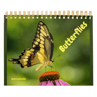 Calendrier des papillons