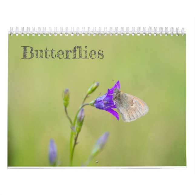 Calendrier des papillons (Protection)