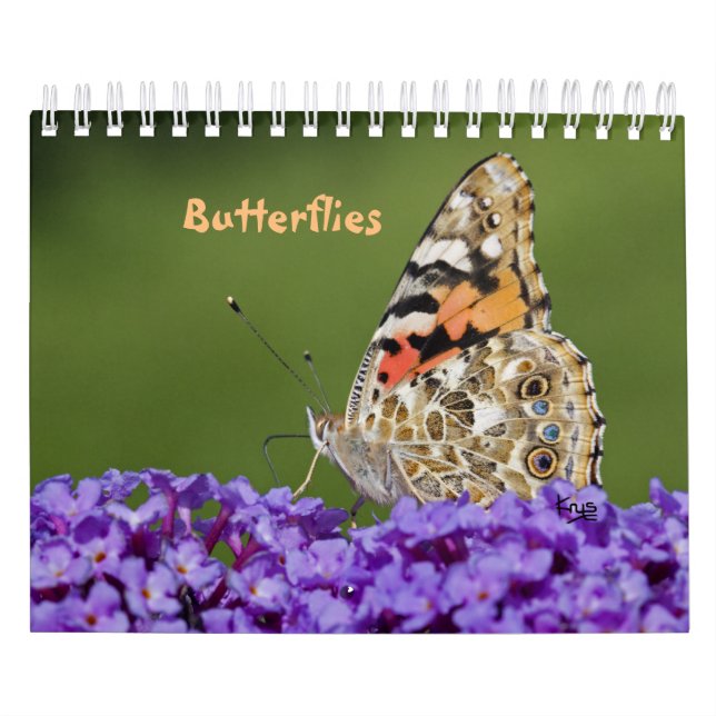 Calendrier des papillons (Protection)