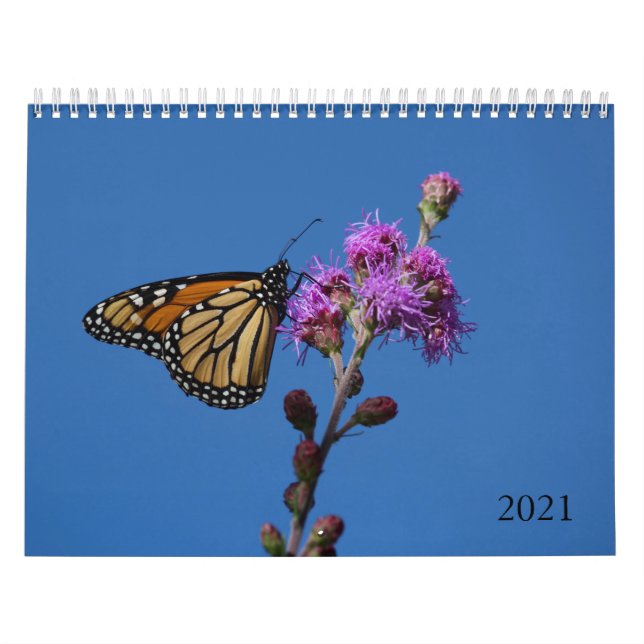 Calendrier des papillons (Protection)