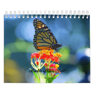Calendrier des papillons 2010