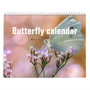Calendrier des papillons 2025