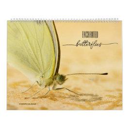 Calendrier des papillons enchantés