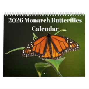Calendrier des papillons monarques 2026