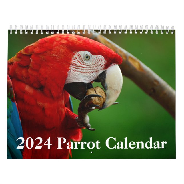 Calendrier des perroquets 2024 (Protection)