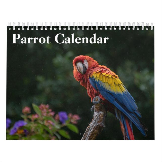 Calendrier des perroquets 2025 (Protection)
