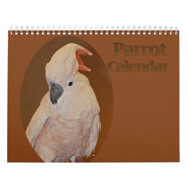 Calendrier des perroquets colorés (Protection)