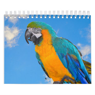 Calendrier des perroquets mixtes