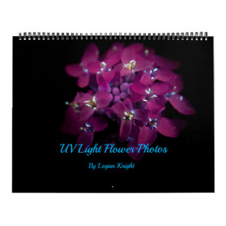 Calendrier des photos de la lumière UV 365NM