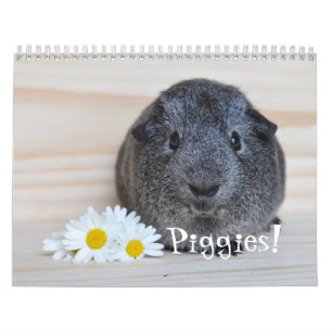 Calendrier des photos de porc de Guinée