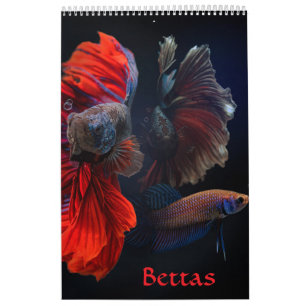 Calendrier des poissons bêta