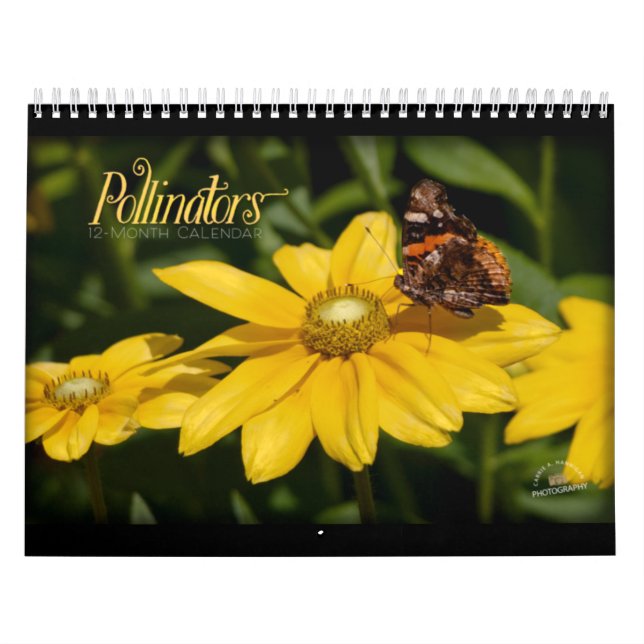 Calendrier des pollueurs (Protection)