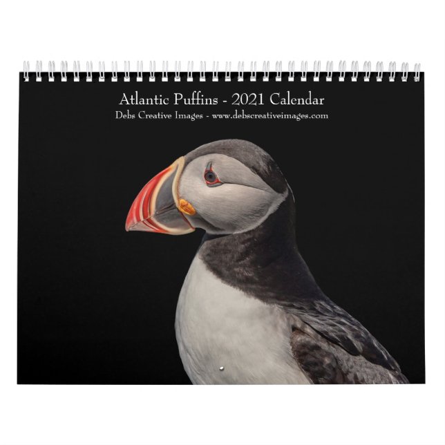 Calendrier des Puffins de l'Atlantique 2021 (Protection)