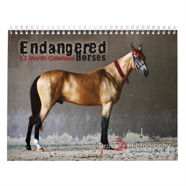 Calendrier des races de chevaux en voie de dispari (Protection)