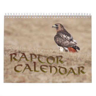 Calendrier des rapaces