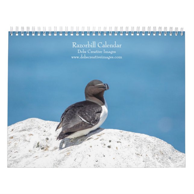 Calendrier des Razorbill 2026 (Protection)