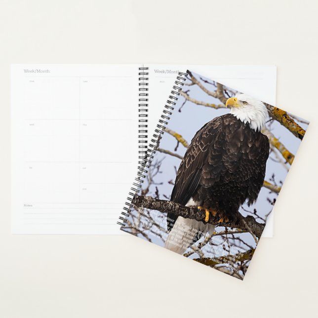 Calendrier des symboles de l'aigle (Devant avec enveloppe)