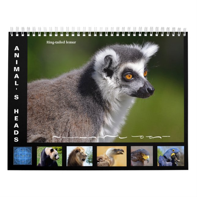 Calendrier des têtes d'animal 2025 (Protection)