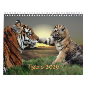 Calendrier des tigres