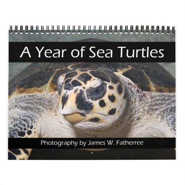 Calendrier des tortues de mer (Protection)