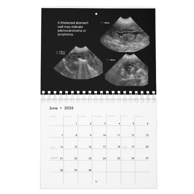 Calendrier des ultrasons vétérinaires (Jun 2026)