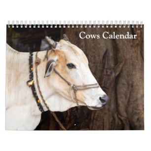 Calendrier des vaches 2026