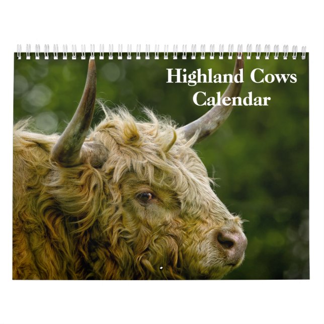 Calendrier des vaches Highland 2025 (Protection)