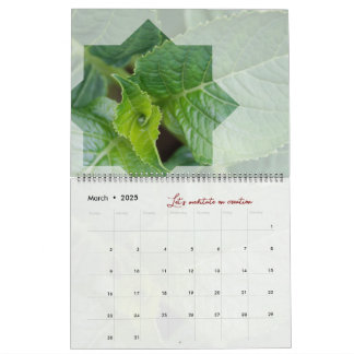 Calendrier Dieu méditation nature étoile élégant