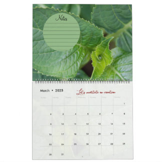Calendrier Dieu méditation photos jardin : notes