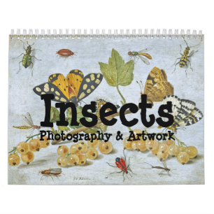 Calendrier d'insectes