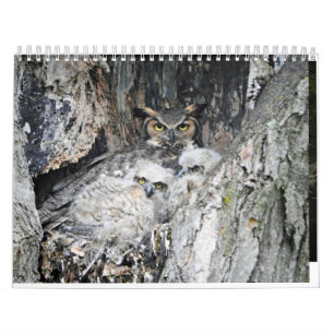 Calendrier Divers oiseaux et canards