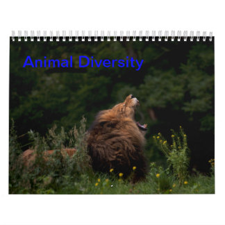 Calendrier Diversité des animaux