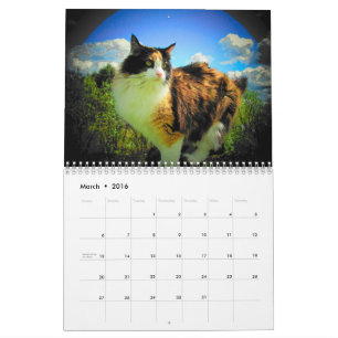 Calendrier DJ's Artisticats par djoneill