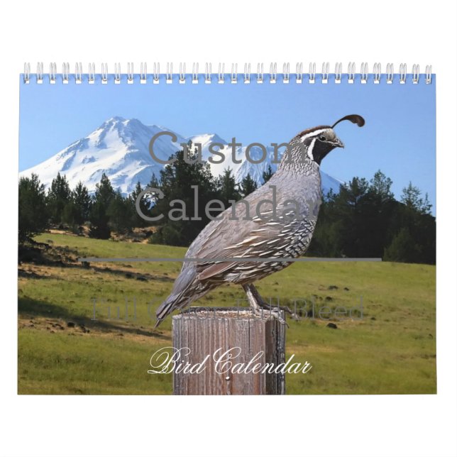 CALENDRIER D'OISEAU (Protection)
