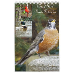 Calendrier d'oiseaux de jardin