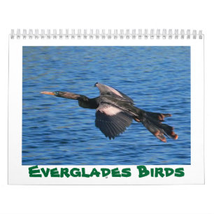 Calendrier d'oiseaux de marais