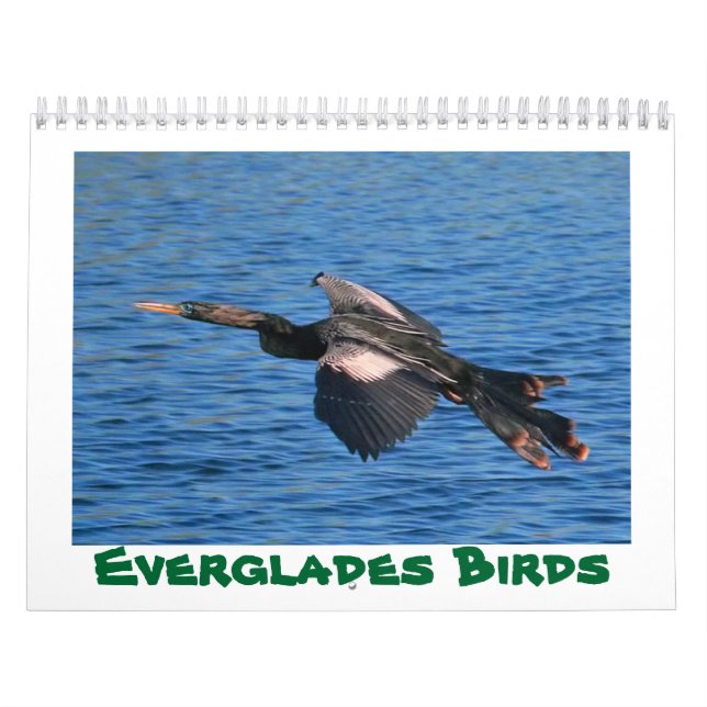 Calendrier d'oiseaux de marais (Protection)