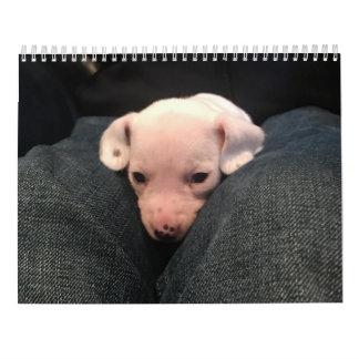 Calendrier double Dachshund