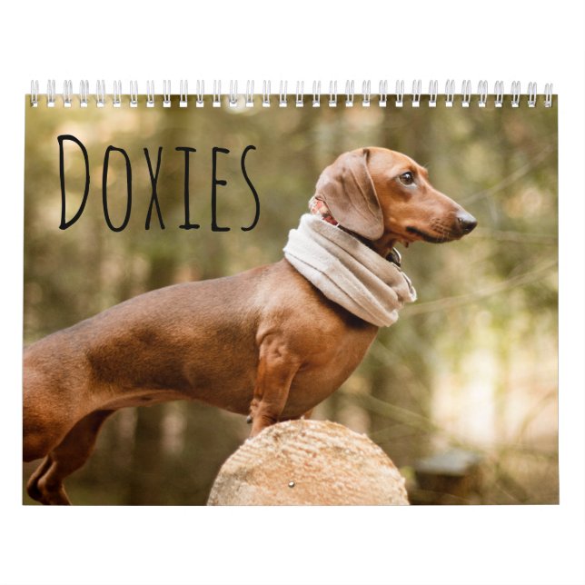 Calendrier Doxies (Protection)