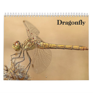 Calendrier Dragonfly 2025