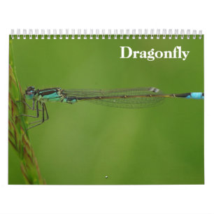 Calendrier Dragonfly 2026