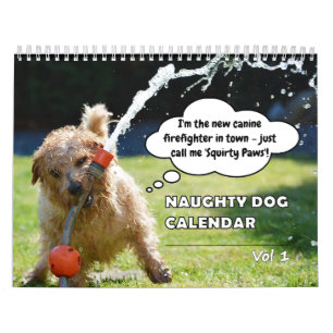 Calendrier Drôle chien coquin